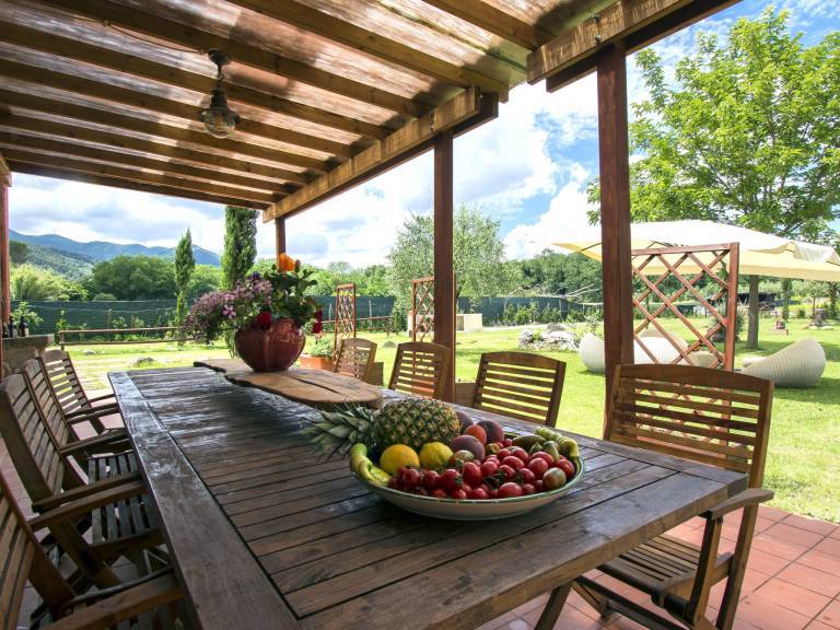 Vacation home with terrace, private pool & yard — photo 4