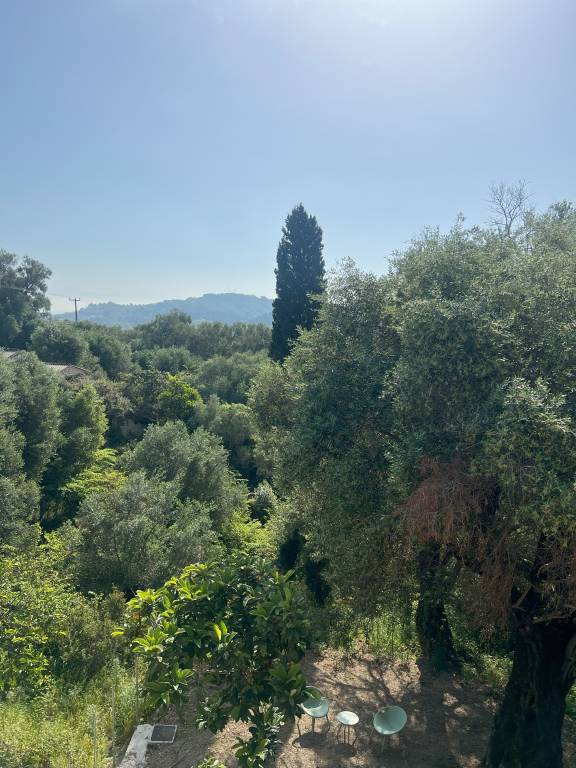 foto45