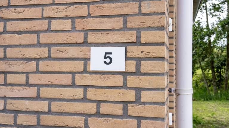 foto39