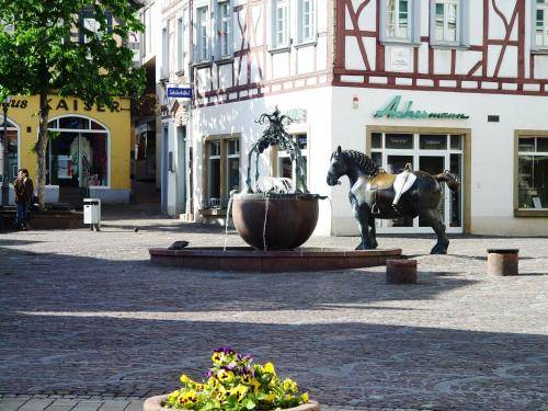 Ferienwohnung Alzey
