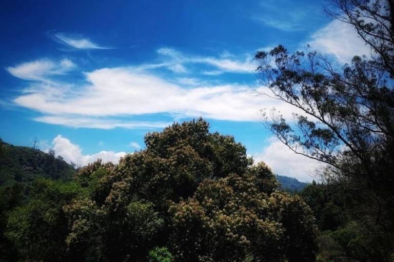 foto11