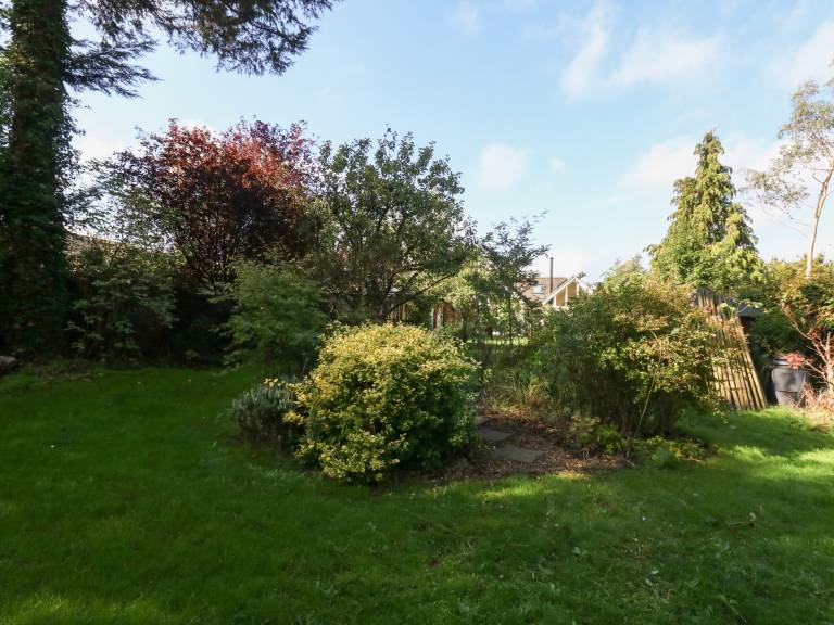 foto28