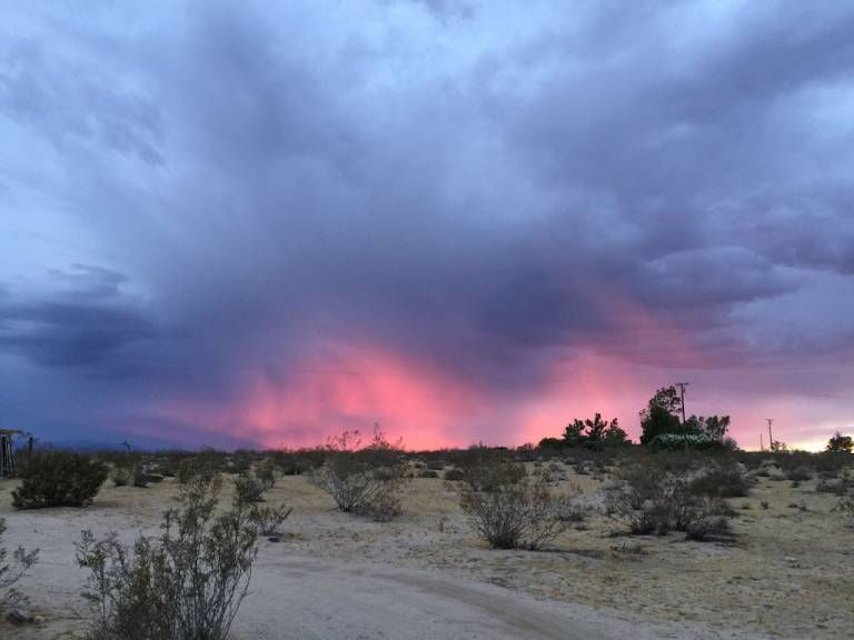 House Joshua Tree