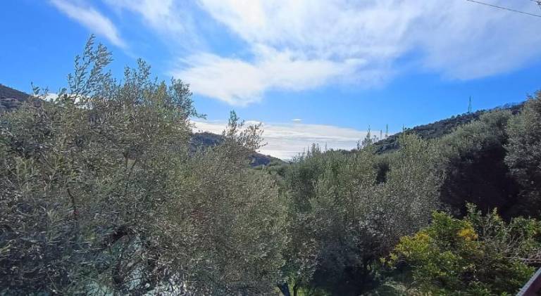 Girasole Varazze B&B — photo 5