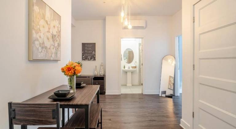 Large Suite in Downtown Montreal — photo 3