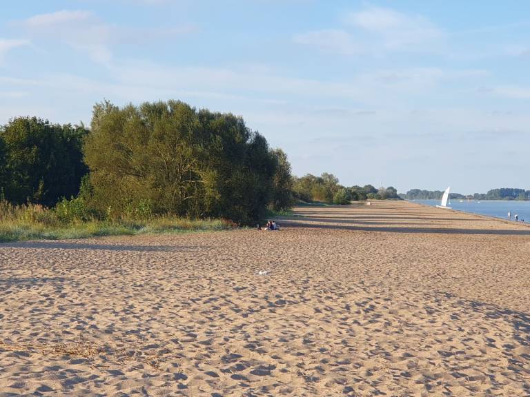 foto44