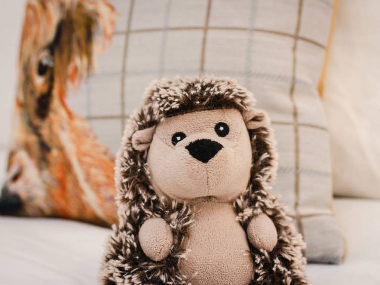 Ferienhaus Drumnadrochit