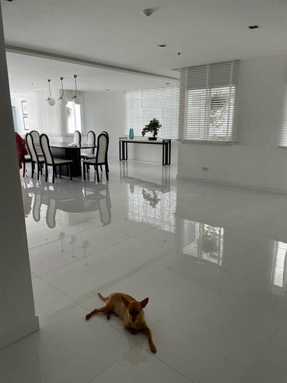 Rental apartment with pool | Good for workation | Dogs allowed in Bangkok