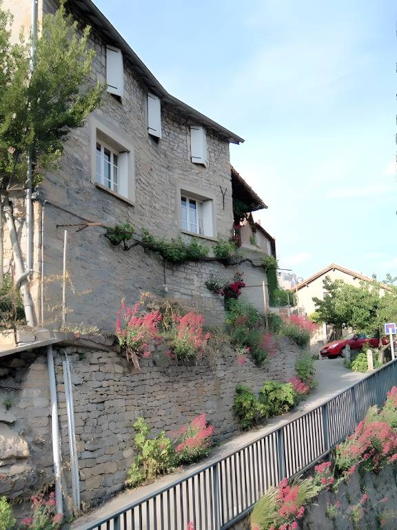 House with patio, garden & barbecue | Garden view — photo 4