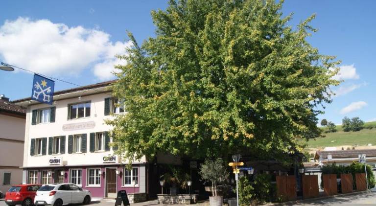 foto1