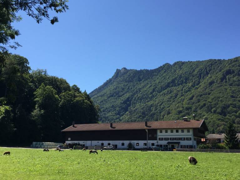 foto11