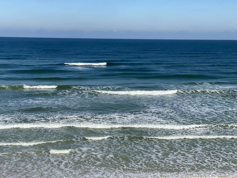 Condo Daytona Beach Shores