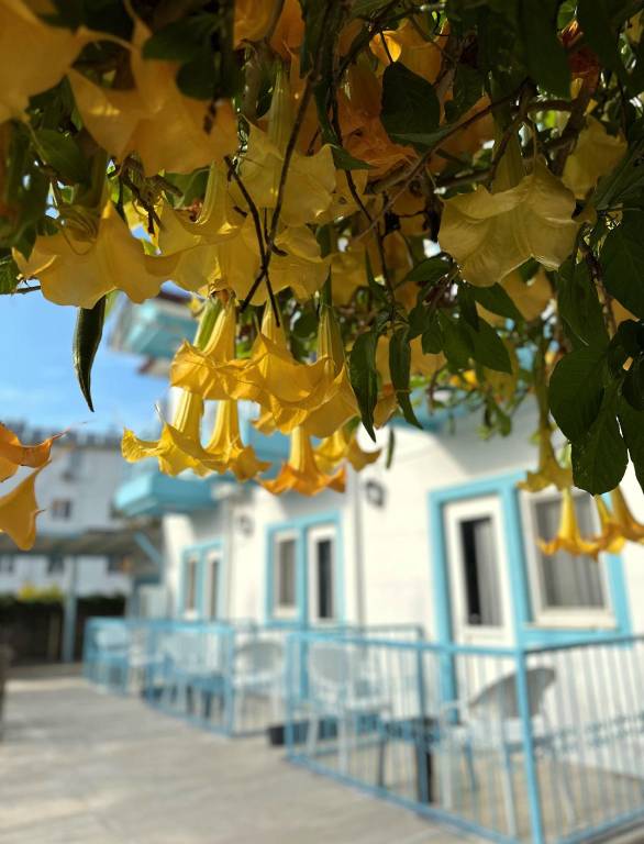 Enjoy Hotel in Fethiye