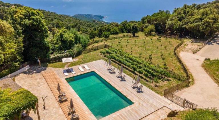 Vacation home with yard, pool & terrace in Le Lavandou