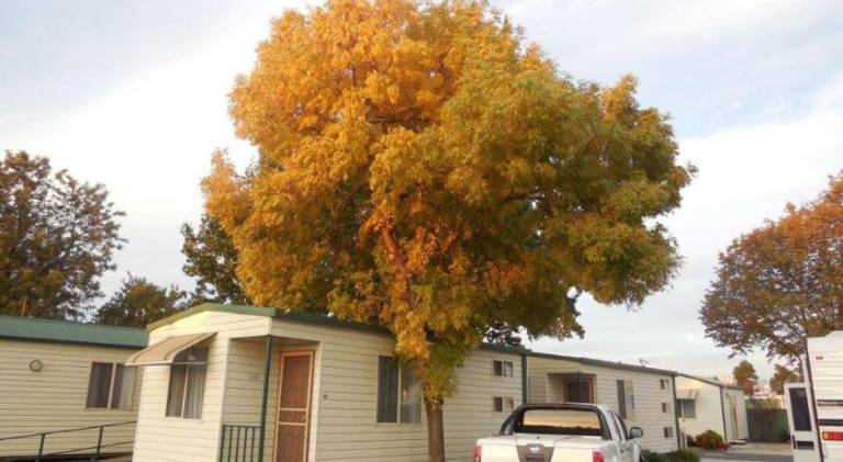 Holiday park Wodonga