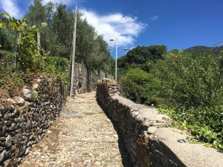 foto30