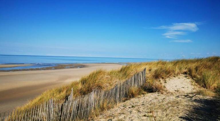 Rental apartment | Close to the beach | Pets are welcome — photo 5