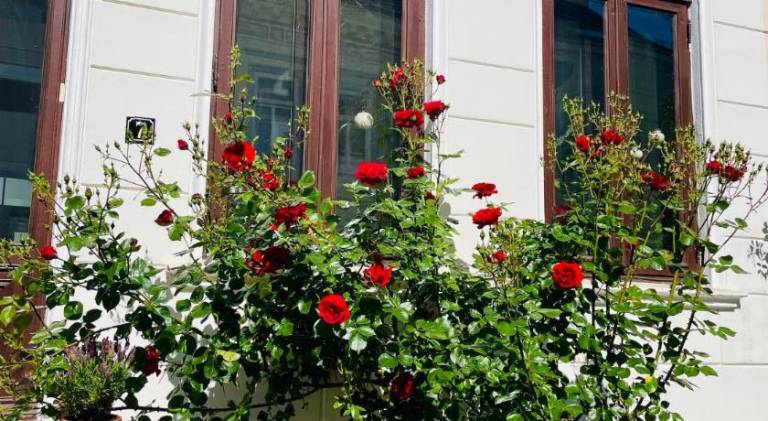 45 m&sup2; Ferienwohnung