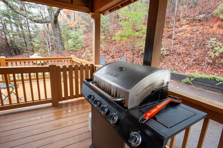 Cabin Dillard