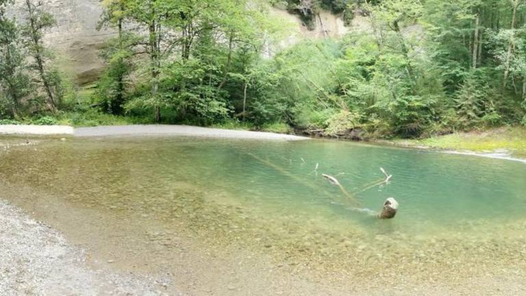 foto31