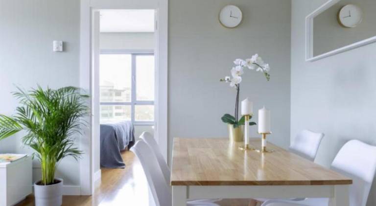 Rental apartment with pool, garden & patio — photo 4