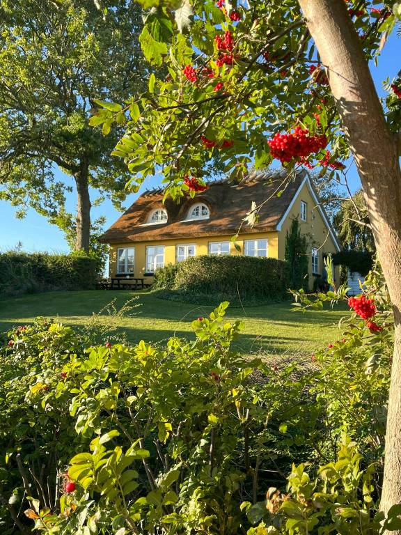 Ferienhaus Borre