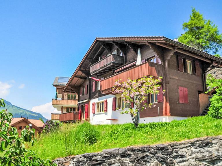 Appartement  Wengen