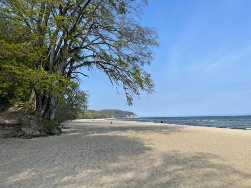 Apartament Dolny Sopot
