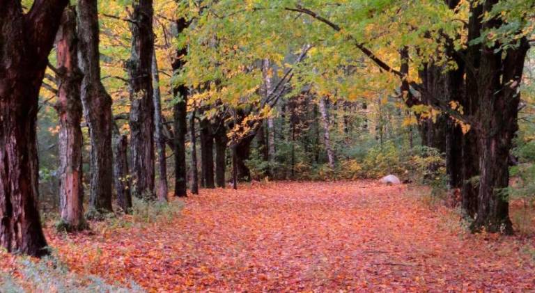 foto40