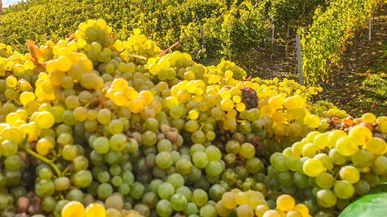 Ferienwohnung Piesport