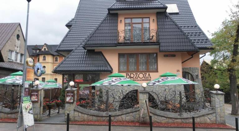 Brzoza w centrum Zakopanego in Zakopane