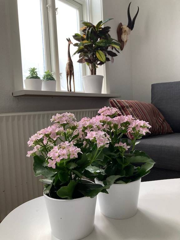 Ferienwohnung Lunderskov Kommune