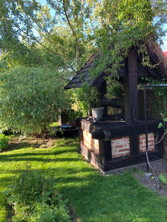 foto20