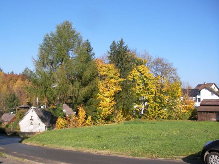 foto42