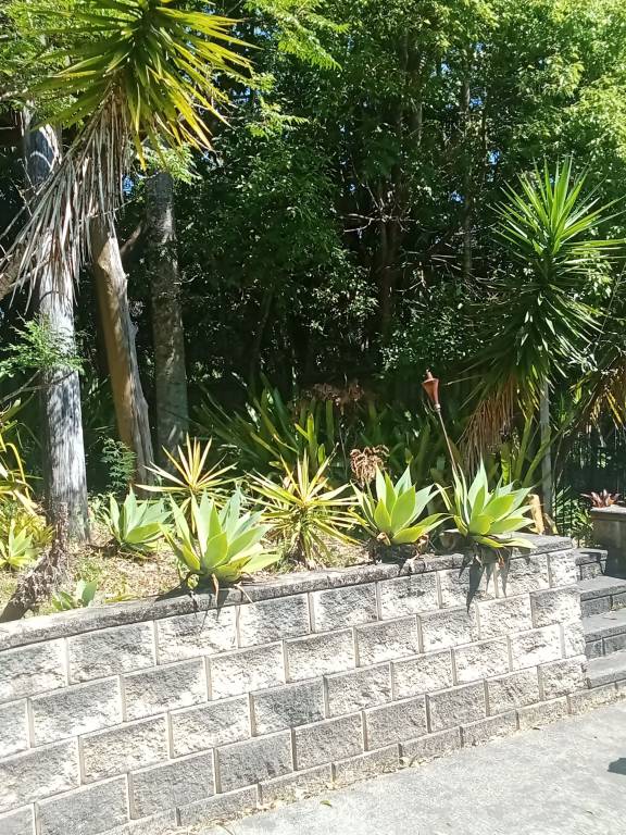 House Eumundi