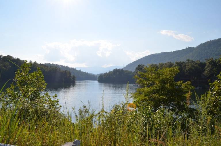 Cottage  Lake Santeetlah