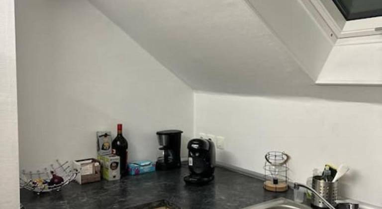 Pleasant rental apartment | Dogs allowed — photo 4