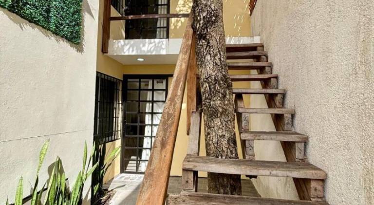 Wonderful rental apartment | Pets allowed — photo 3