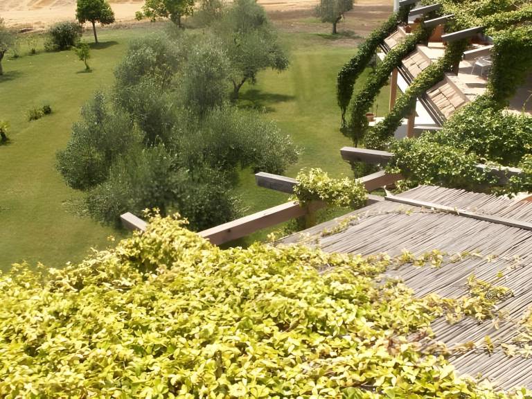 foto40