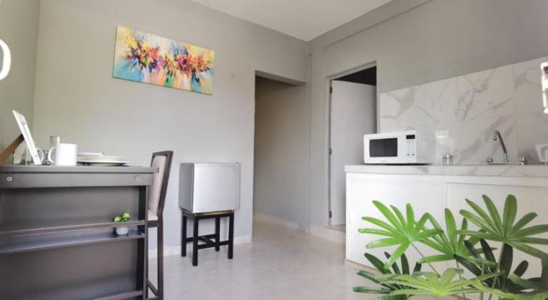 Rental apartment | Pets are welcome in Cozumel