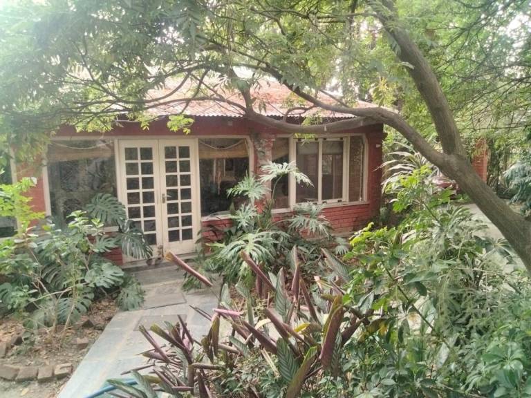 The Jungle Bungalow La Bellesa — photo 4
