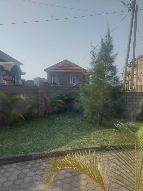 foto19