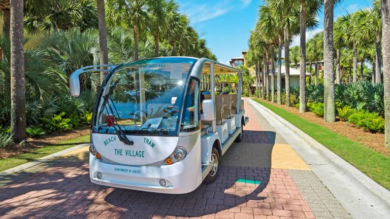 Seacrest Lagoon Pool, Free Tram to Beach, Sleeps 12 Free Attraction Tickets! — photo 4