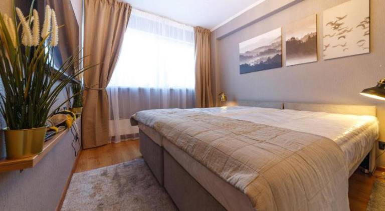 Wonderful rental apartment | Pets are welcome — photo 5