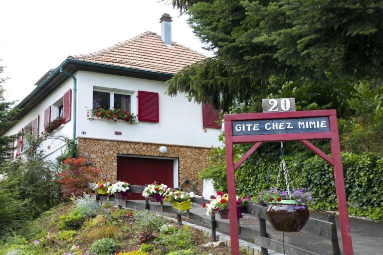 House with patio, sauna & grill | Pet-friendly in Thann