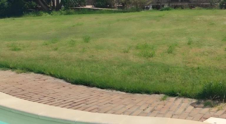 Pleasant farm with BBQ, garden & pool | Pets are welcome — photo 3