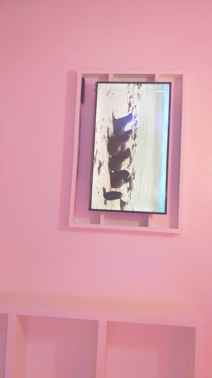 foto18