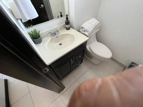 foto17