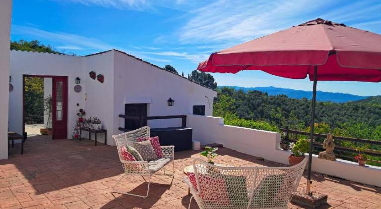 Finca Amorosa — photo 3