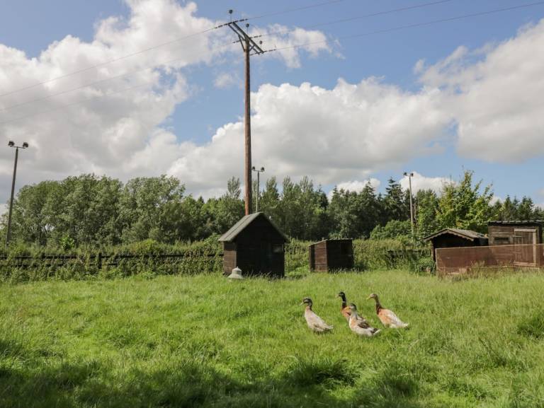 Cottage  Munslow